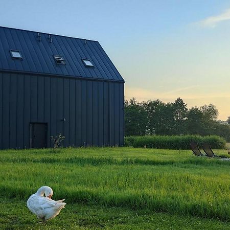 Apartamenty Boczna 3B Z Sauna I Balia Kudowa-Zdrój Exteriör bild